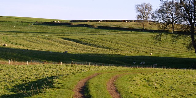 Northamptonshire Farmland