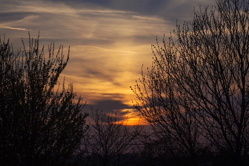 The sky on fire by Angela Grant photography (Not enough hours in the , A beautiful sunset I witnessed. The sky was so pretty that night.trees sunset england sky sun nature
