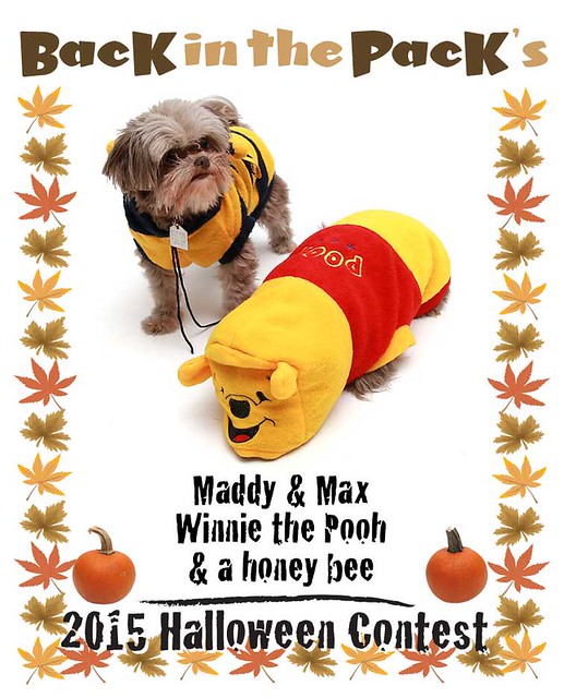 Maddy-&-Max-Winnie-the-Pooh