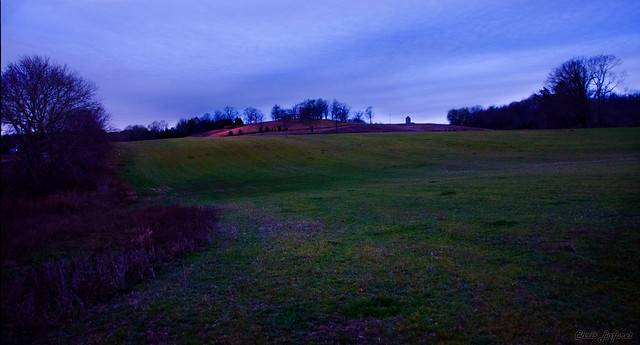 Field in Early Light
