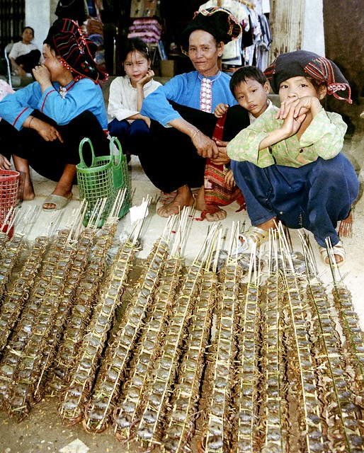 Tuan Giao, Vietnam 2001.