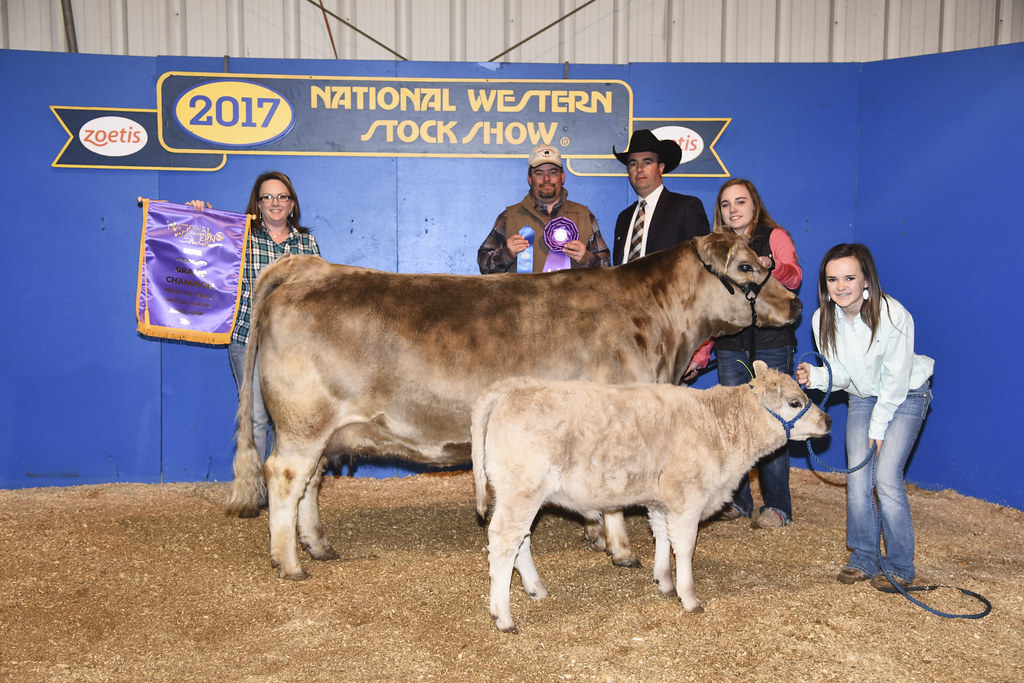 Grand Champion Percentage Junior Cow/Calf - WDL Hollywood 40B: Jaci Brown, Stratford, TX