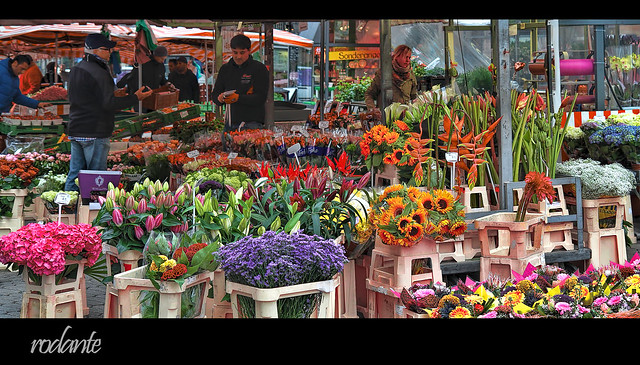 Mercado de flores de Nuremberg