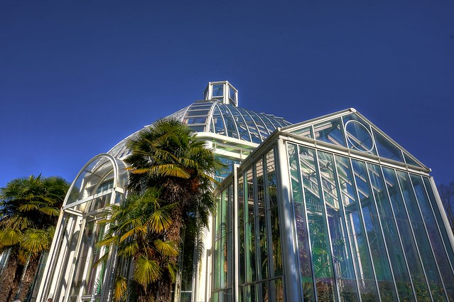 Serre Jardin Botanique de Genève