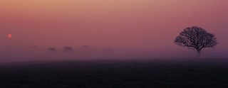 Sunrise Mist..