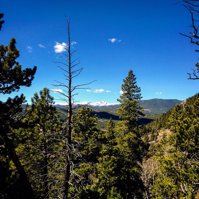 Blue Grouse Trail