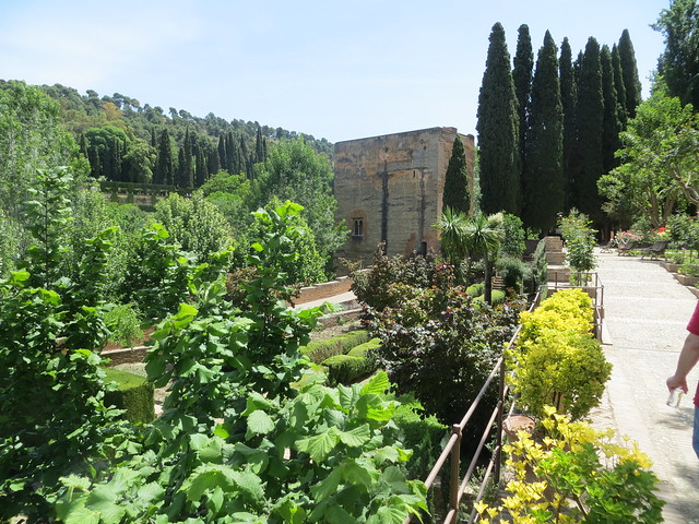The Low Gardens area of Generalife at The Alhambra - Granada, Spain