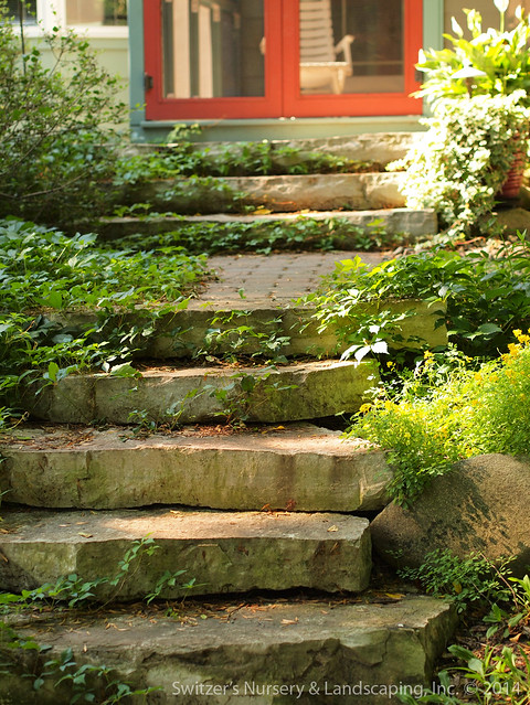 Front Entry Natural Stone Steps ~ Chilton Outcropping Steps