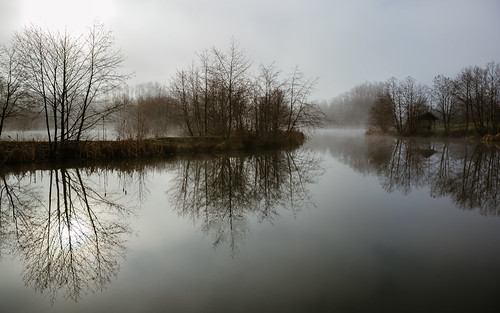 morning fog foggy water reflection still calm pacificnorthwest easton canoneos5dmarkiii nature trees pond canonef2470mmf28lusm washington