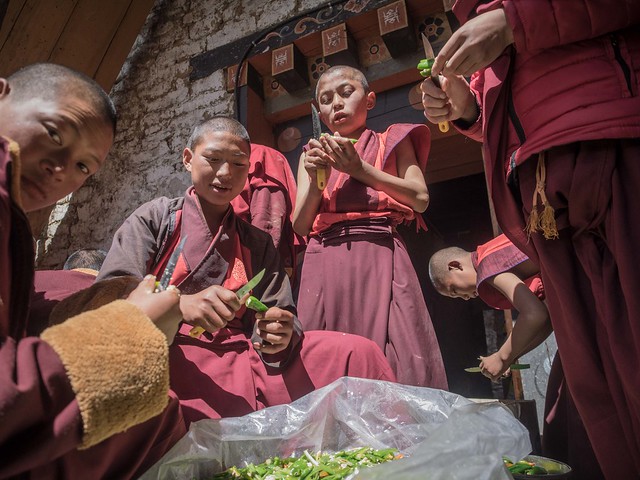 Gasa Dzong monks