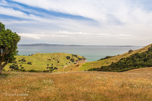 newzealand water landscape coast waikato coromandel coutryside landscapephotography outdoorphotography