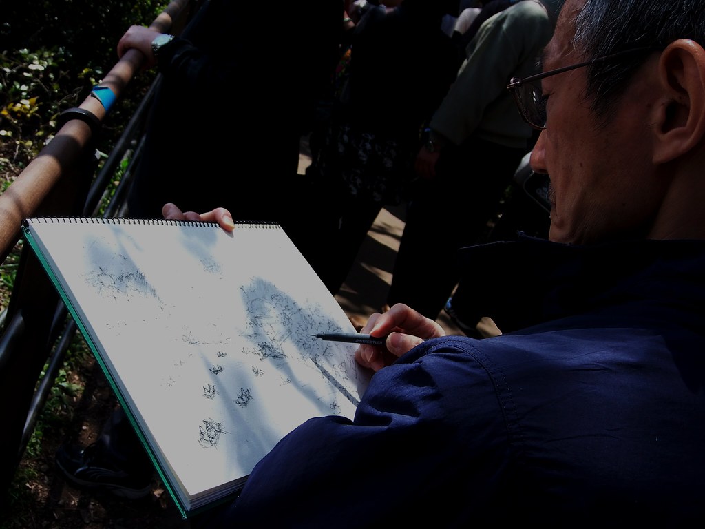 #9771 man sketching cherry blossoms (サクラ)