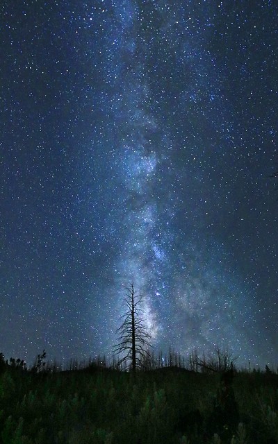 Directions to the Milky Way, Woodland Park, CO