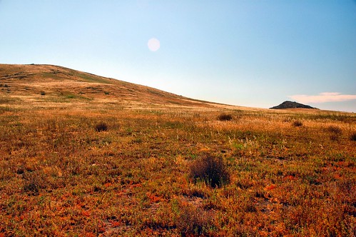 california digital photo spring afternoon hill meadow irvine layering quailhill postprocessing
