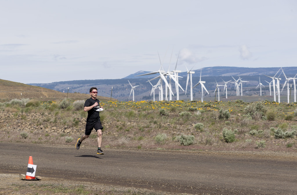 Run Like the Wind 2015