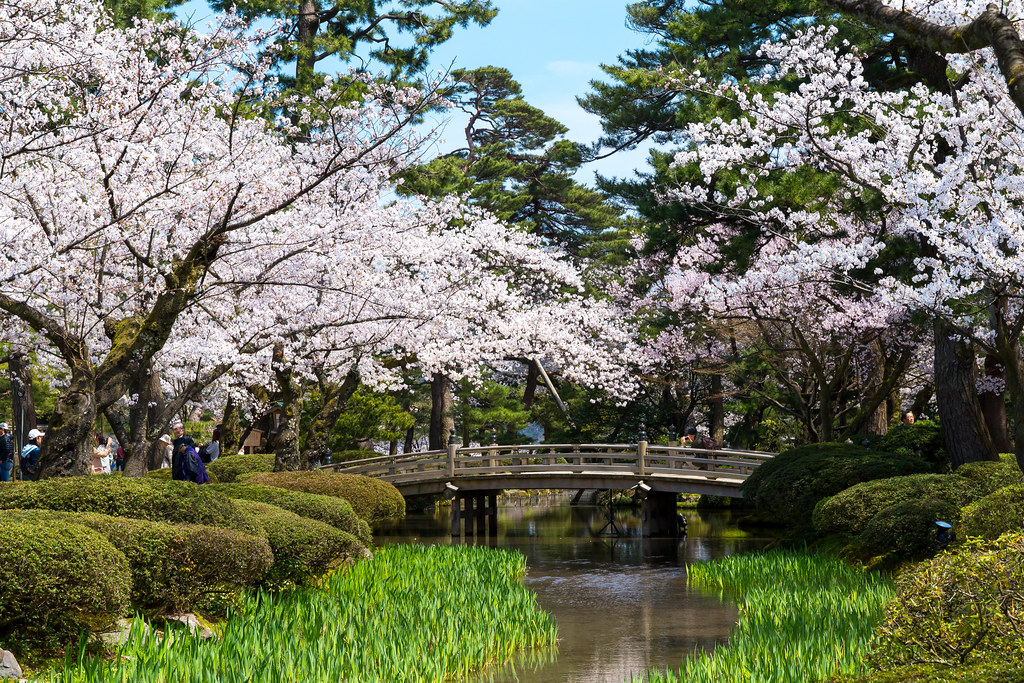花見橋と染井吉野 兼六園 Kenroku En Garden In Spring I Want To Int Flickr