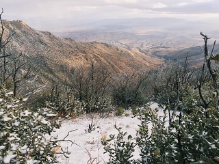 Snowy Vista