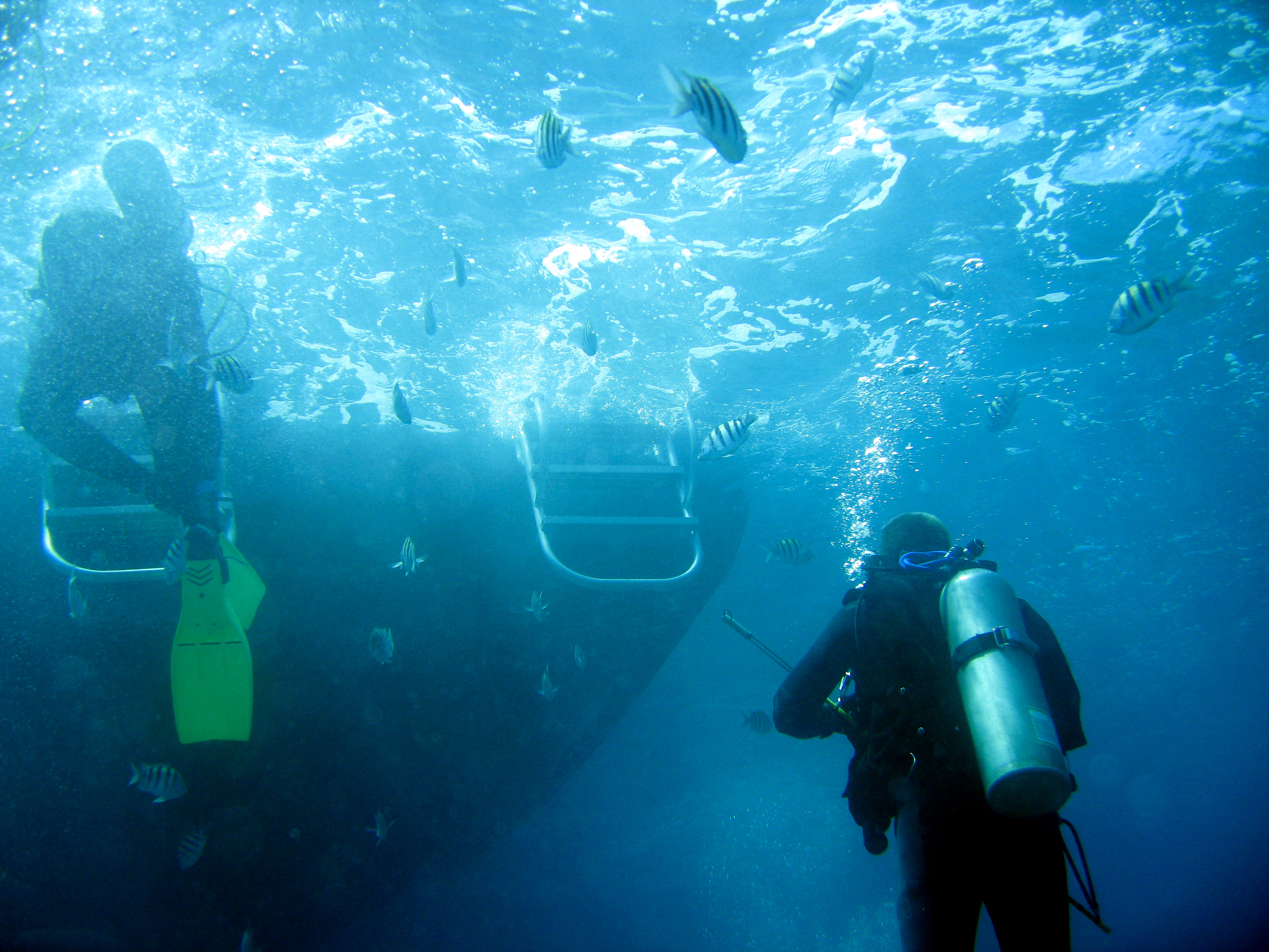 Scuba diving in the bermuda triangle