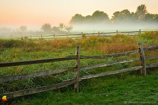 Meadows and Fences at Sunrise - Knox Farm, East Aurora (DTD_0241)