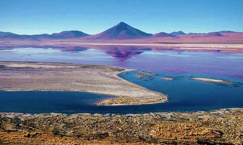 Laguna colorada in sunrise - Bolivia