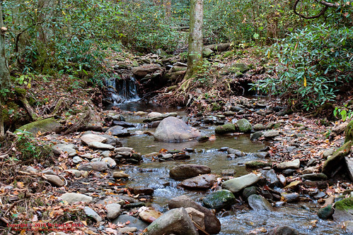 usa fall nature landscape geotagged outdoors photography unitedstates hiking tennessee cosby greatsmokymountainsnationalpark cosbycreek mountcammerer geo:country=unitedstates camera:make=canon exif:make=canon exif:isospeed=800 geo:state=tennessee catonsgrove tamronaf1750mmf28spxrdiiivc exif:lens=1750mm exif:focallength=34mm exif:aperture=ƒ40 canoneos7dmkii camera:model=canoneos7dmarkii exif:model=canoneos7dmarkii geo:lat=3575242000 geo:lon=8320639500 geo:city=cosby geo:location=catonsgrove geo:lat=3575557500 geo:lon=8320651667 geo:lon=83206516666667 geo:lat=35755575