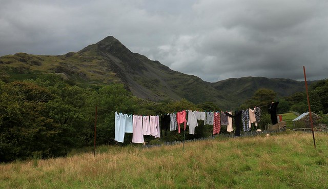 Hang Out The Washing on the Cnicht Field Line