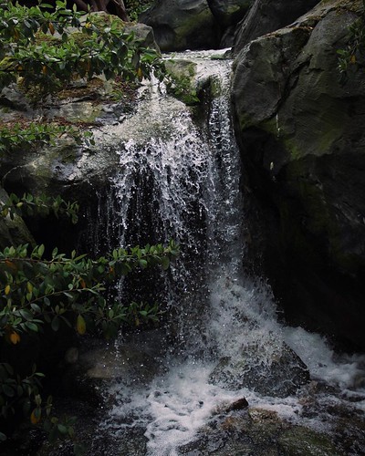 💦📷 #slowmotion #canon #eos50d | by Parques @ Reunidos