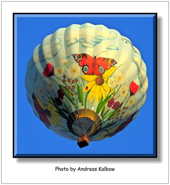 Blumenwiese Ballon (2)