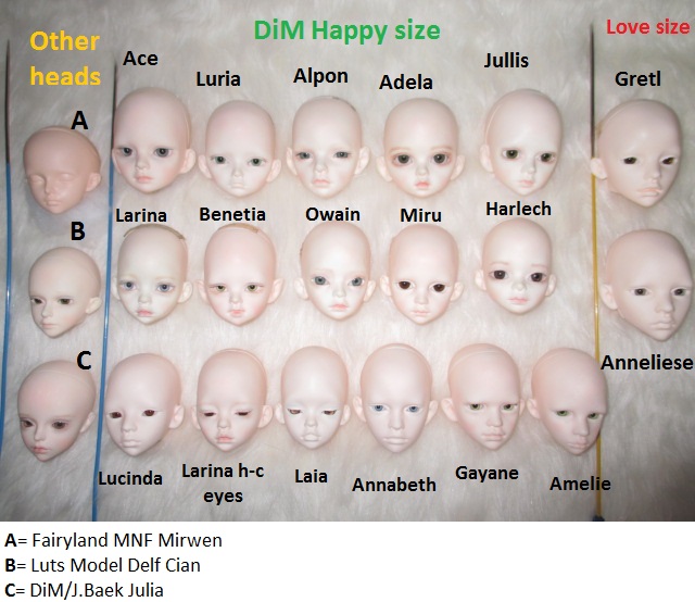 Size comparison for some DiM heads