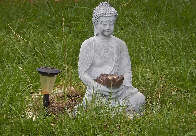 Buddha in Long Grass