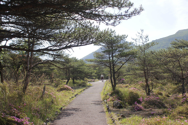 20140601-韓国岳-0024.jpg