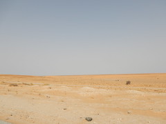 Road Trip Mauritania