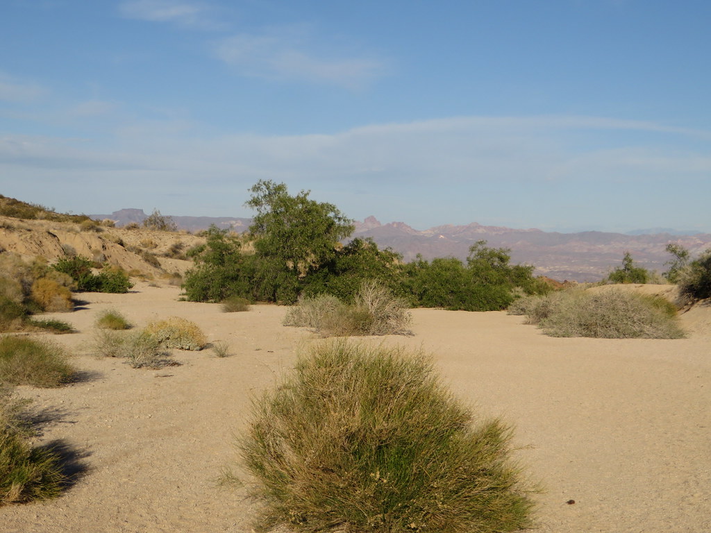 Grapevine Canyon Trail