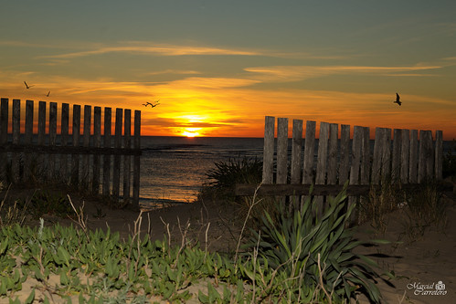 sunset atardecer playa puntacandor rota cádiz spain sea mar paisaje landschaft landscape