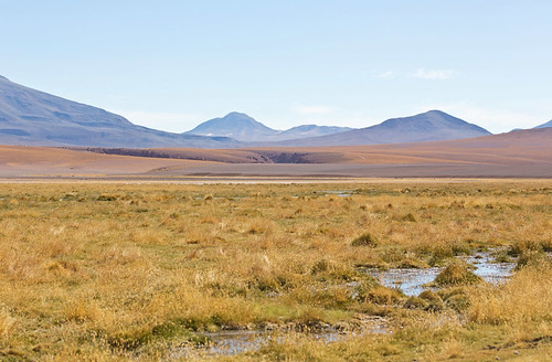 Near Machuca, Atacama, Chile by Miche & Jon Rousell, On the way back from the Tatio geyser field we stopped off at a lagoon area near Machuca.

The Tatio