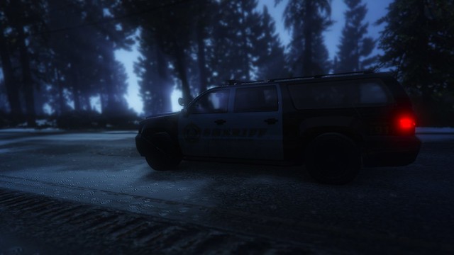 Night Patrol in the Paleto Forest