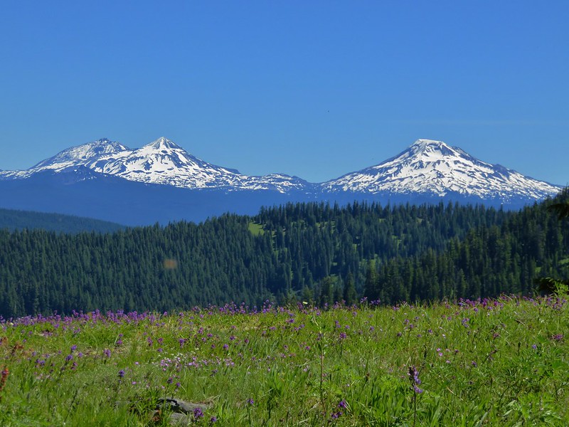 The Three Sisters from a wildflower meadow along the Rebel Rock Trail