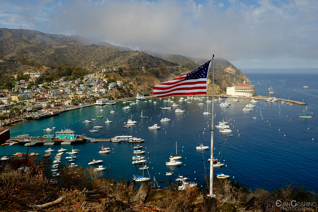 Flag Over Catalina