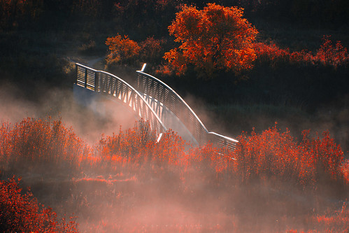 morning bridge autumn sunlight mist canada nature fog landscape photography nikon saskatchewan ianmcgregor wascanavalley ianmcgregorphotographycom