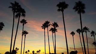 Buckeye sunset