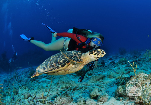 Cayman