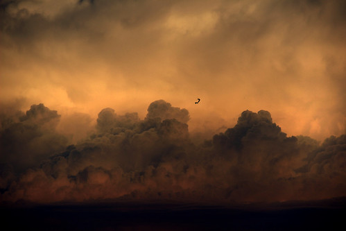 Why Do Birds Sing? by Avenir Démodé, birds clouds nubes