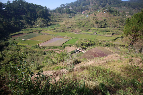travel green nature rural outdoors rice philippines manila fields sagada ricefields metromanila
