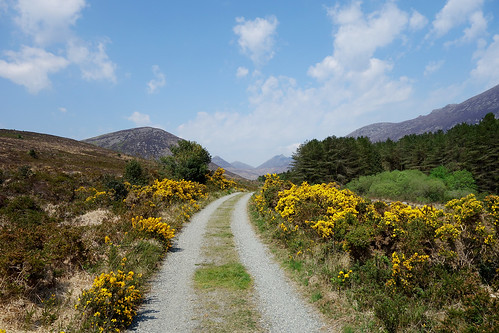 road ireland sky mountains ancient track path sony kingdom mourne gorse rx100 codownnorthern