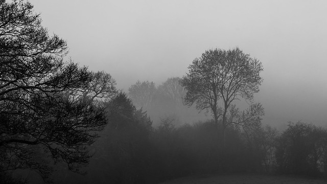 Henllys Vale - Foggy Morning