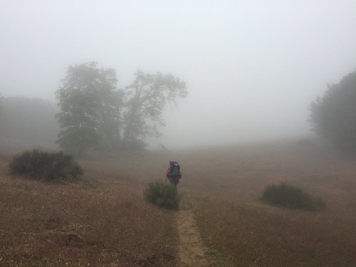 PCT: Day 37