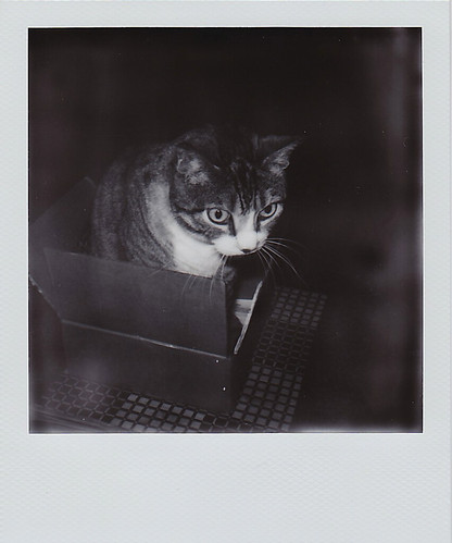 Ilsa_in_Box_040915 | by Ed Vatza