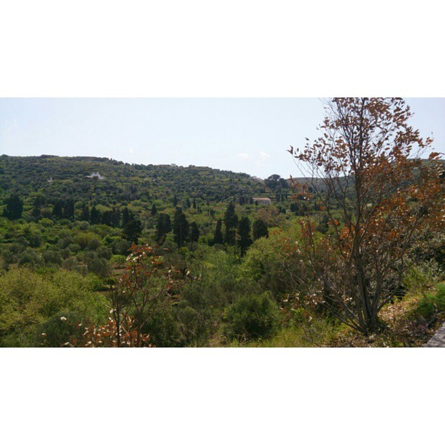 The #beautiful #Melanes #valley #naxos #greece #springtime… | Flickr