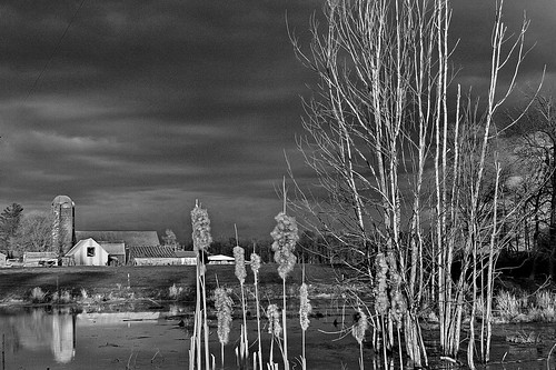 trees reflections pond farm highcontrast darkclouds brightsun kentcountymichigan