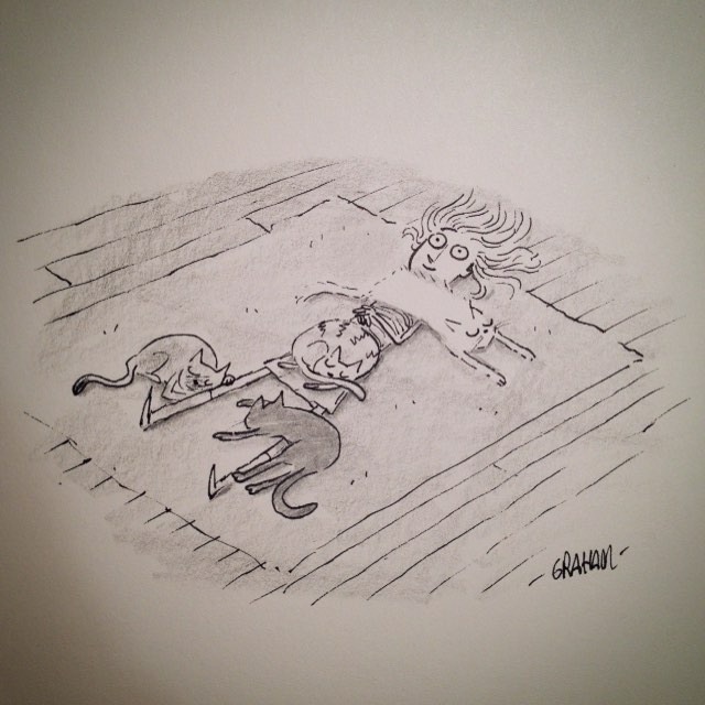 Never disturb Jane's quiet time with the kitties. #grickledoodle